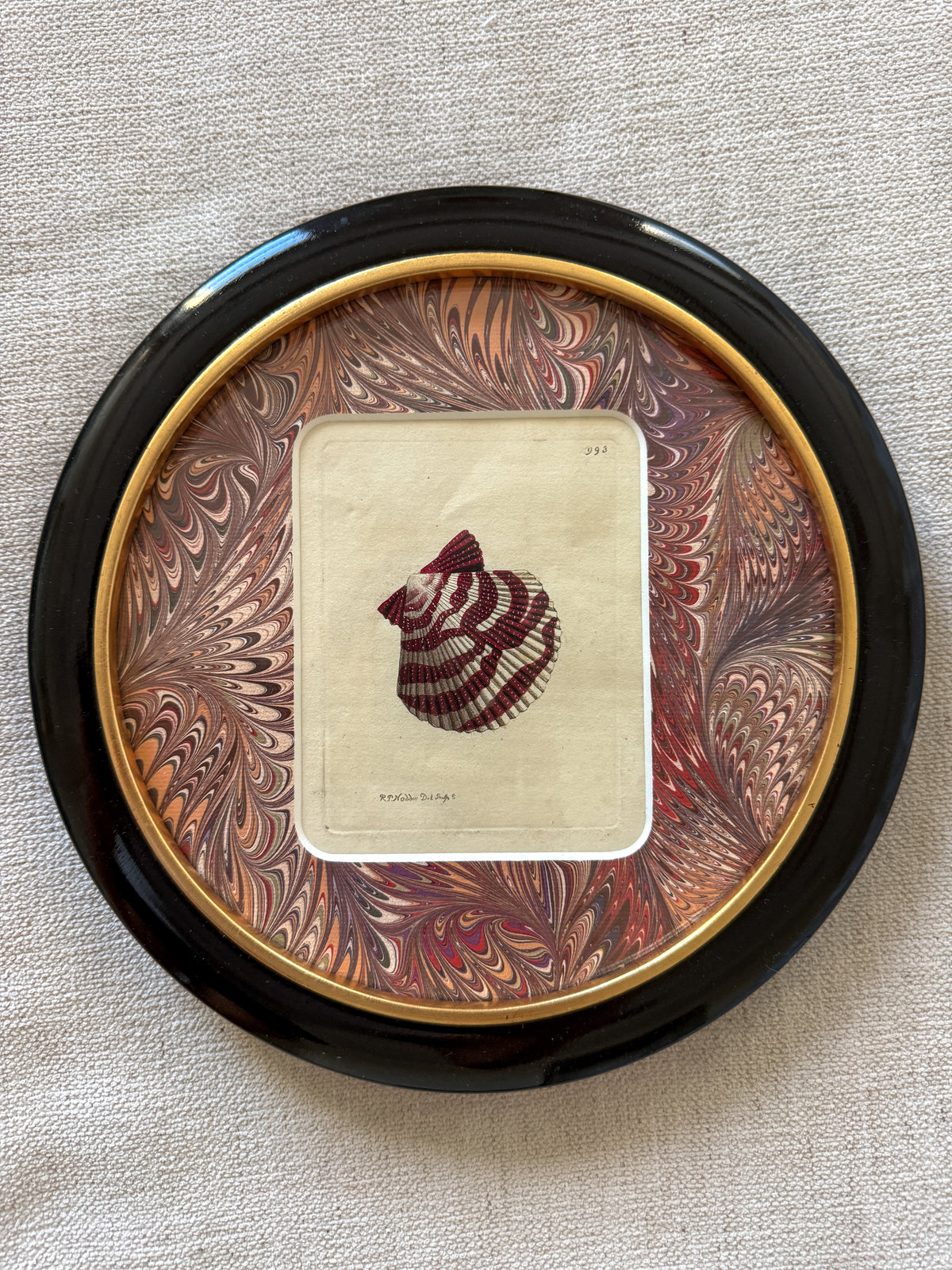 18th century shell engraving