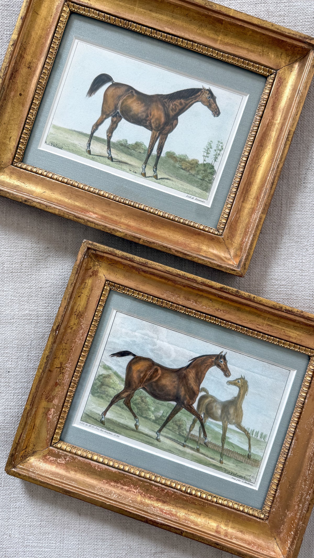 19th c. French horse lithograph pair