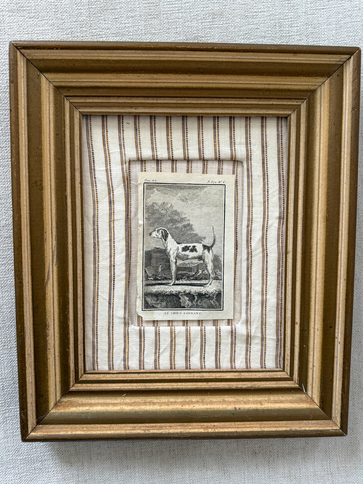 Antique dog engraving