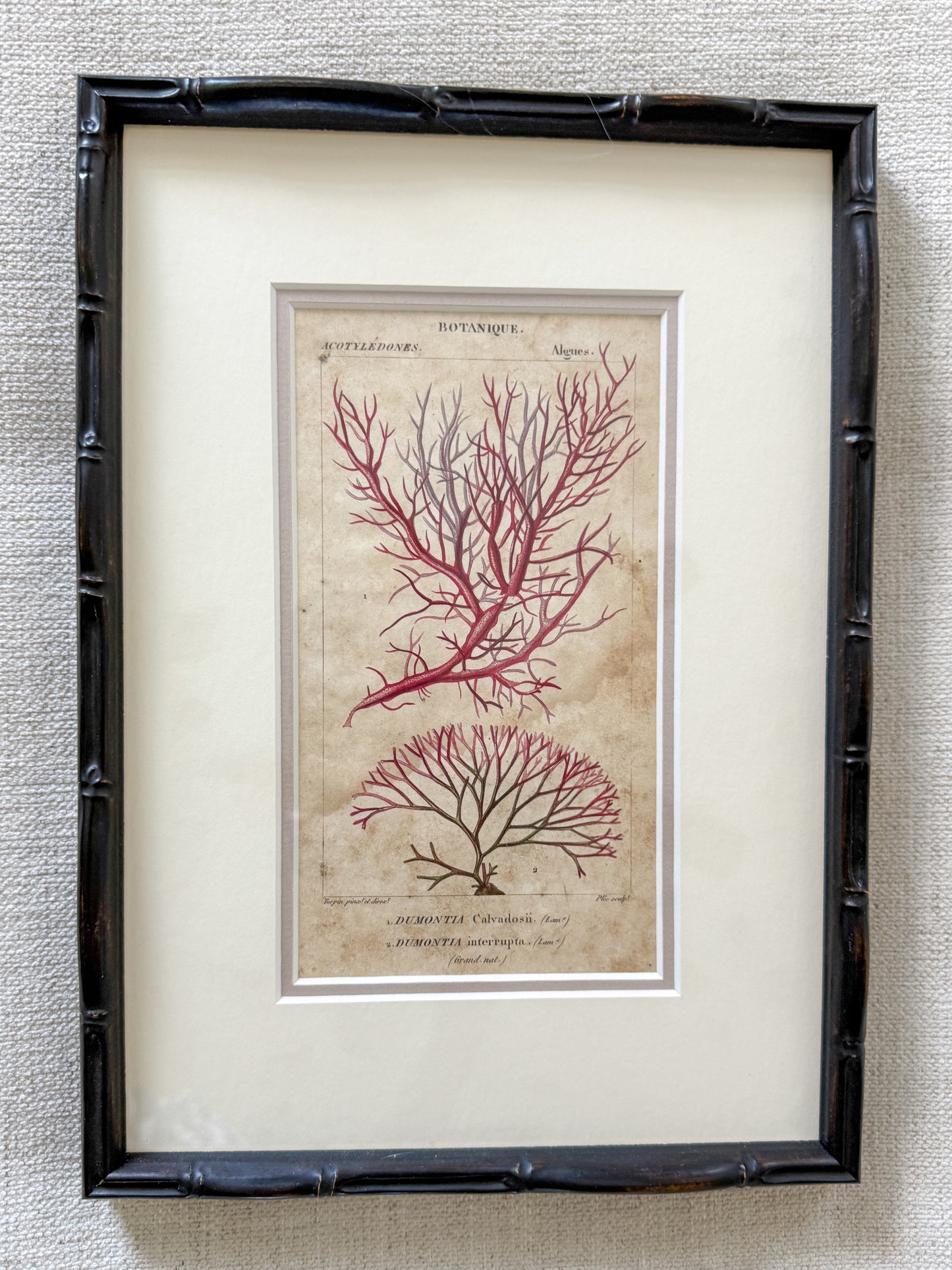 Antique coral engraving