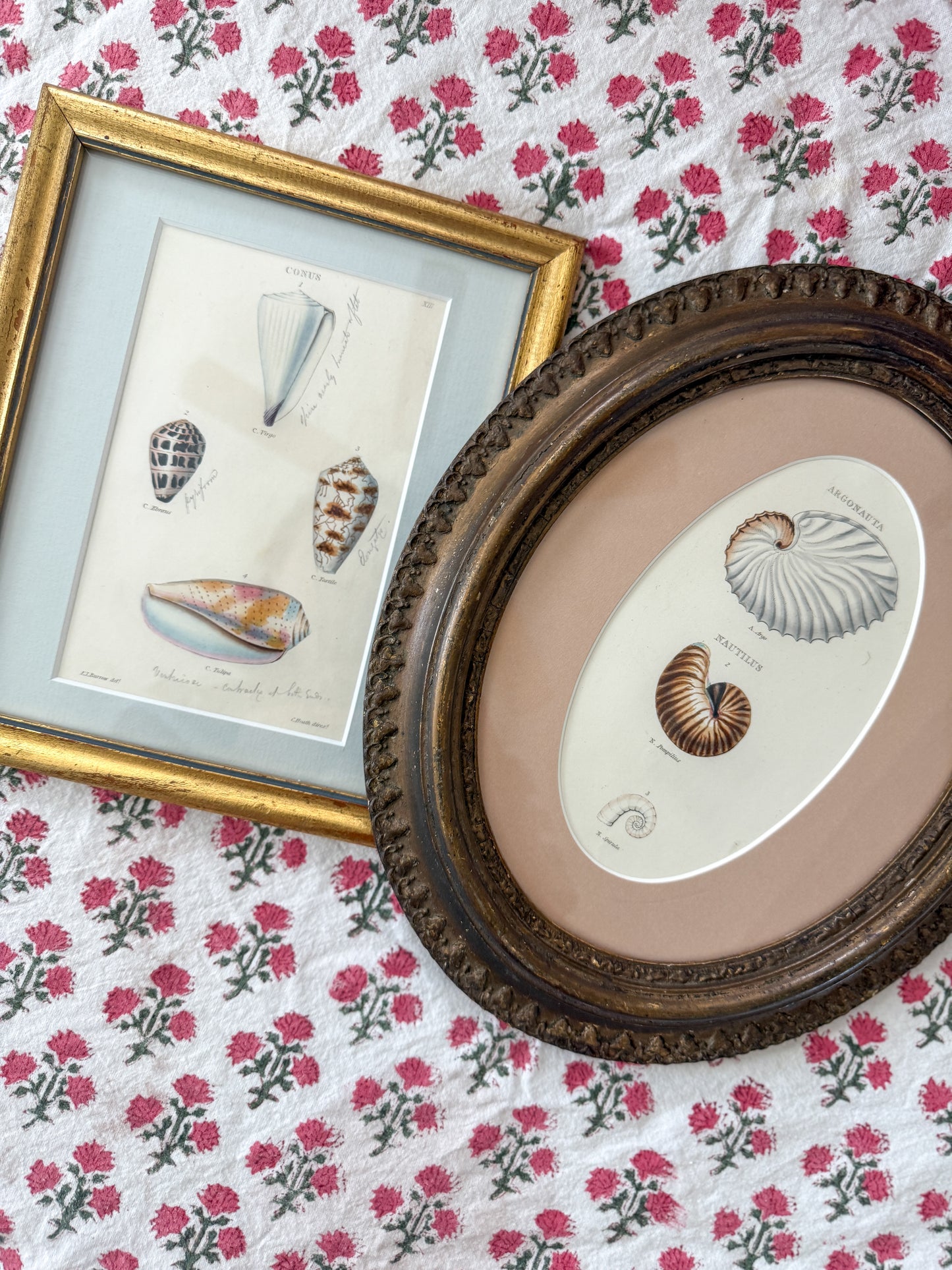 Antique shell engraving