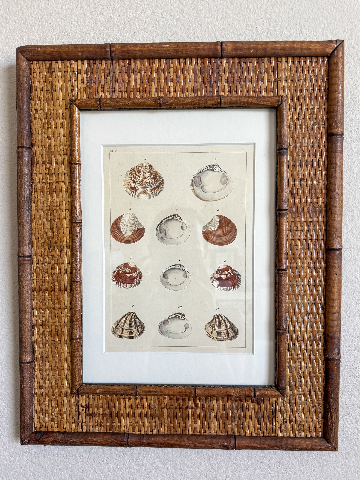 Antique shell engraving