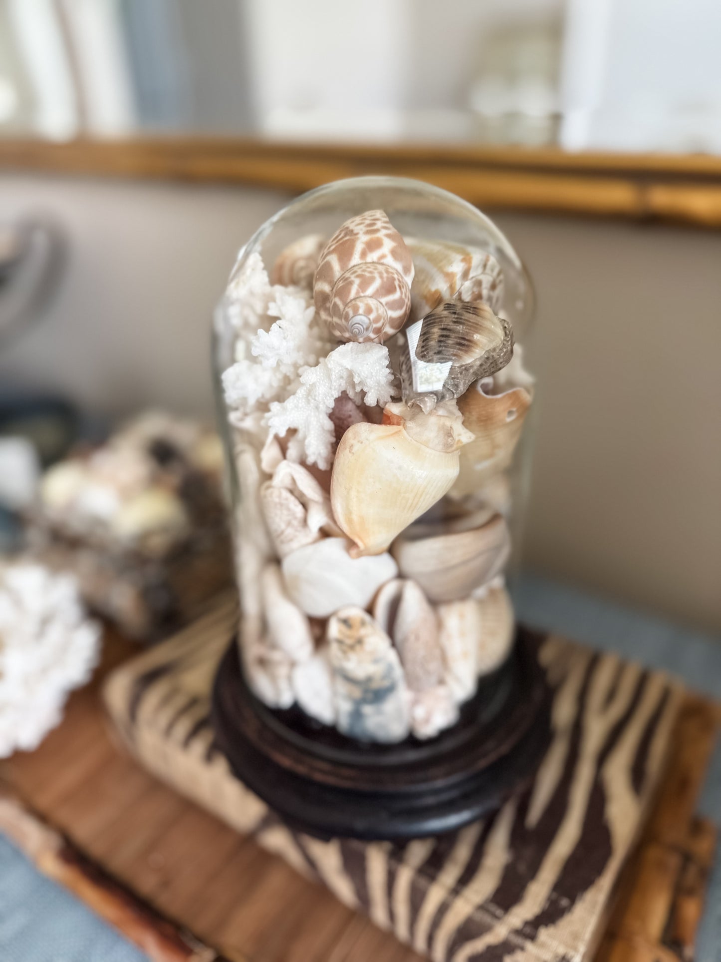 Vintage cloche with shells