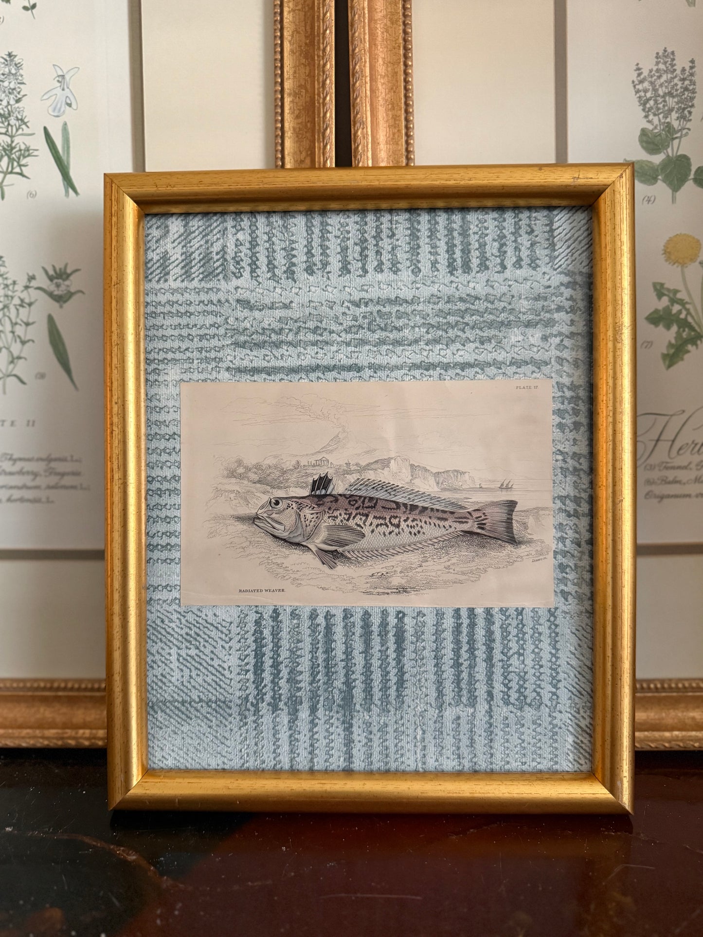 Antique fish engraving