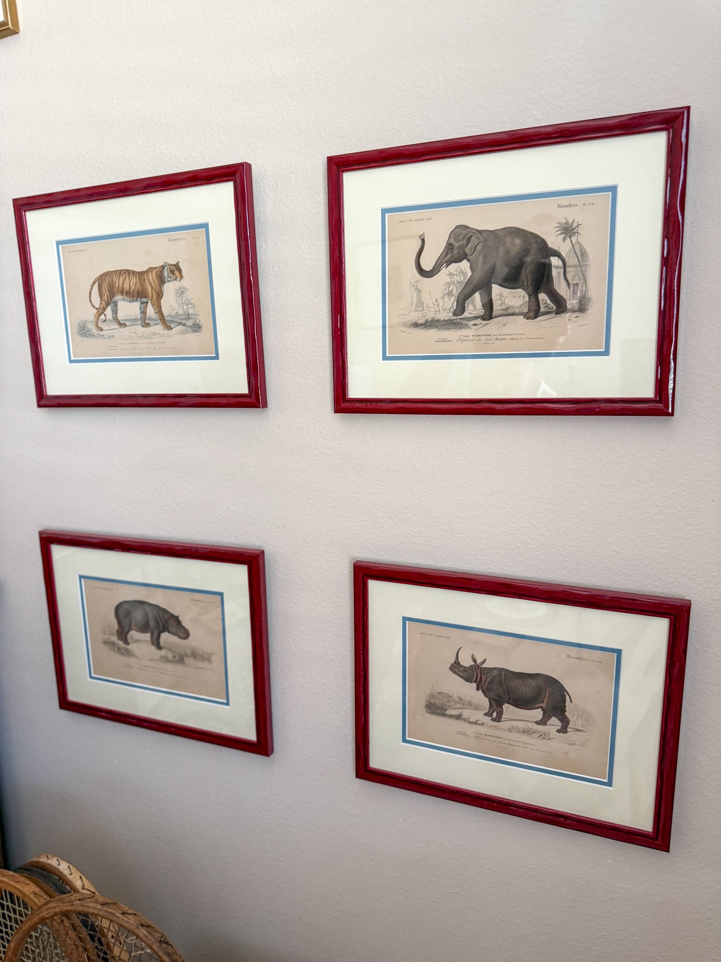 19th century animal engravings