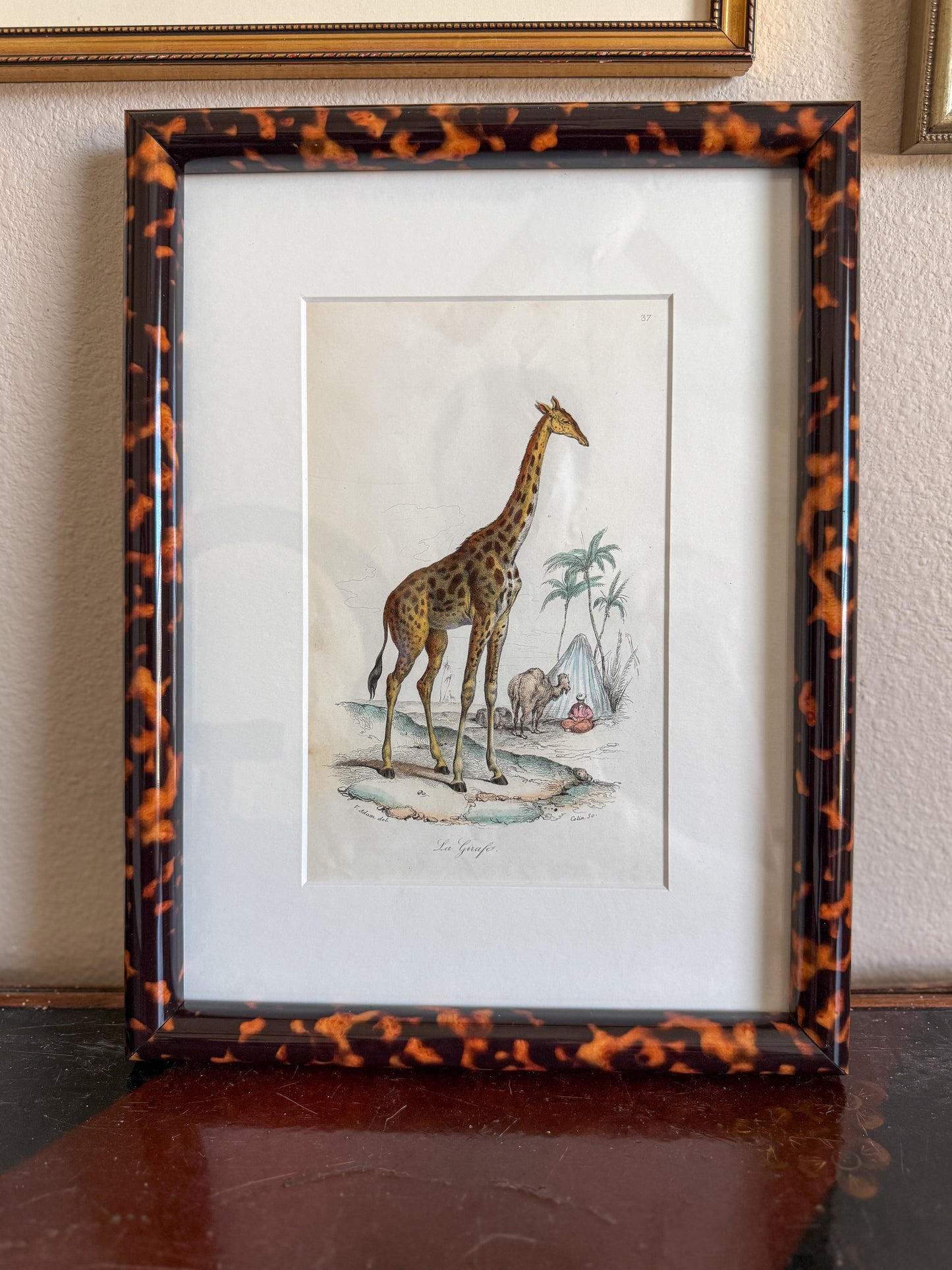 Antique giraffe engraving