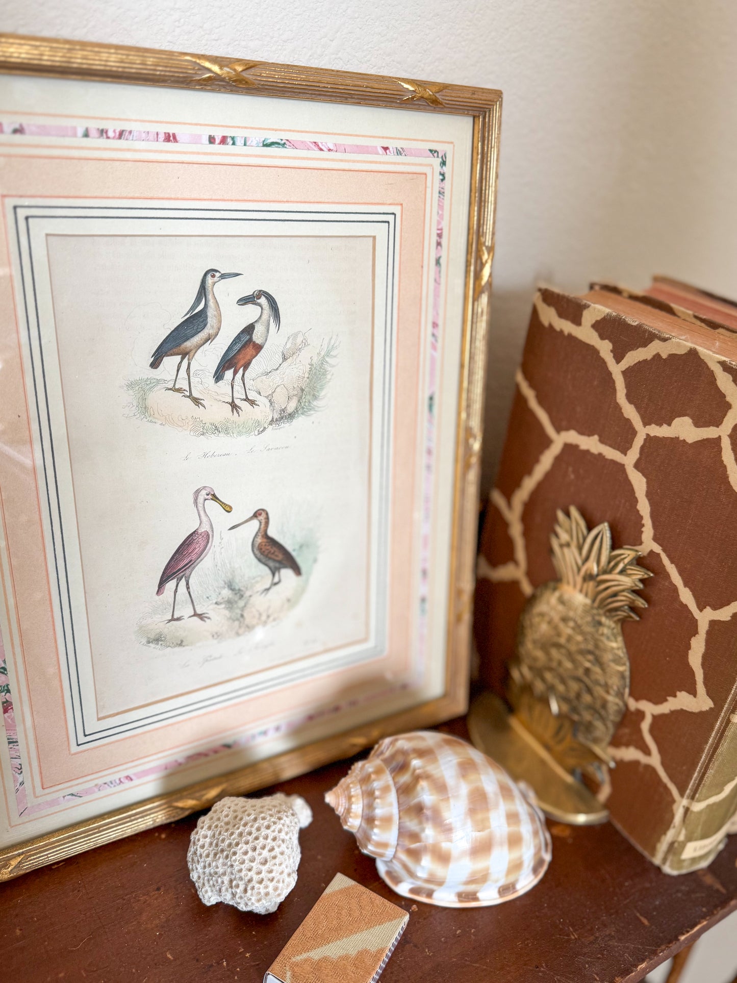 1850s hand colored ornithology engraving