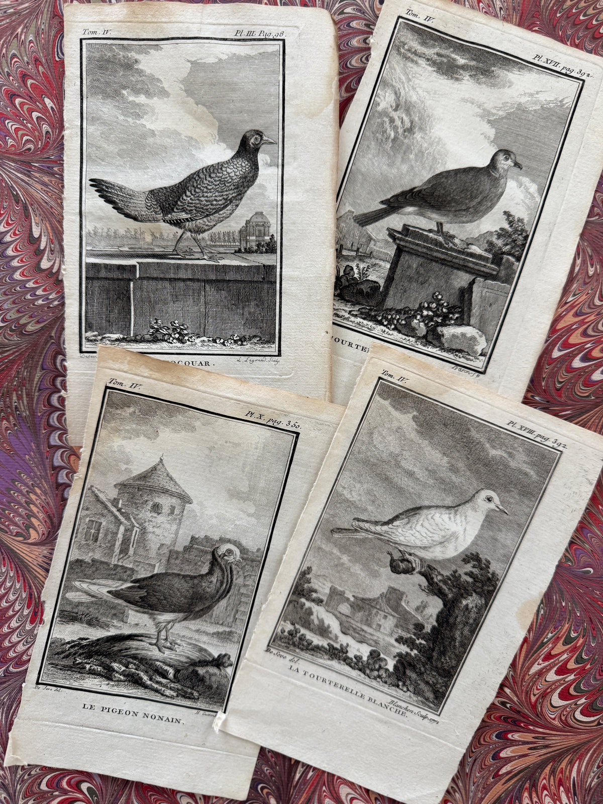 18th century Buffon engraving set