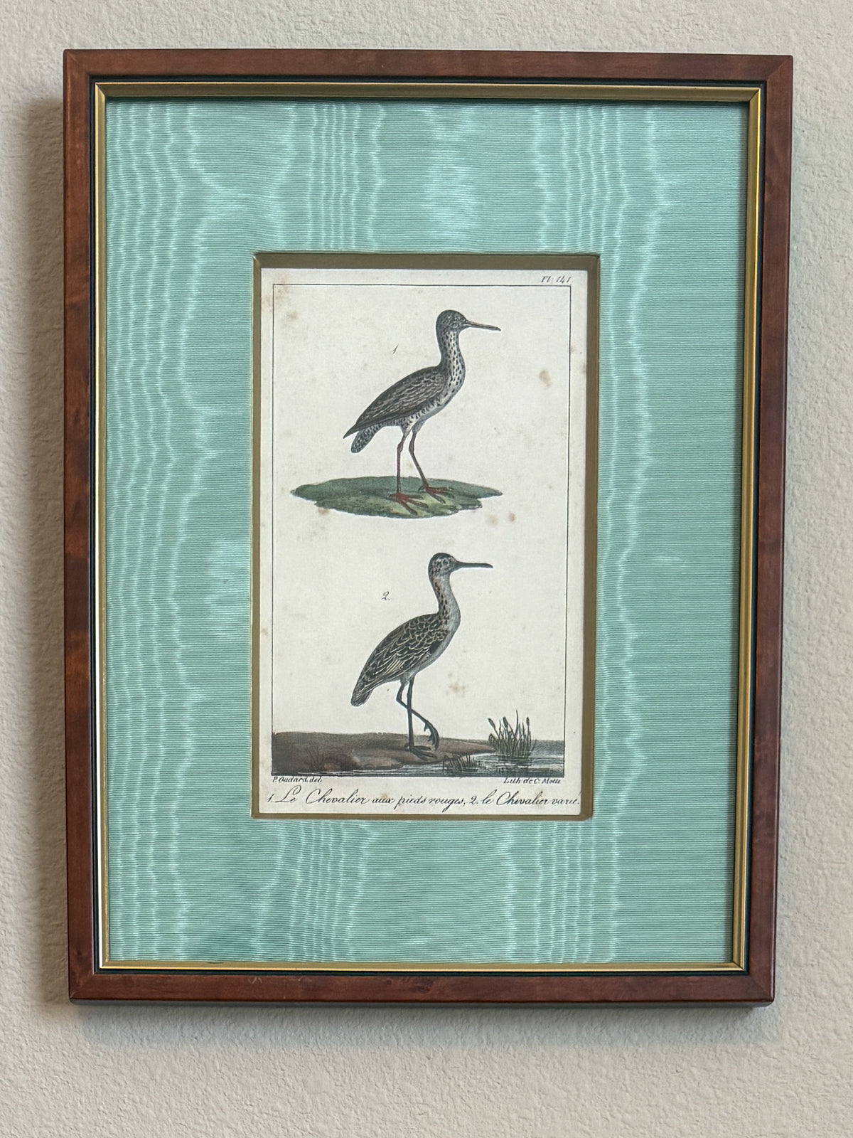 Antique bird lithographs