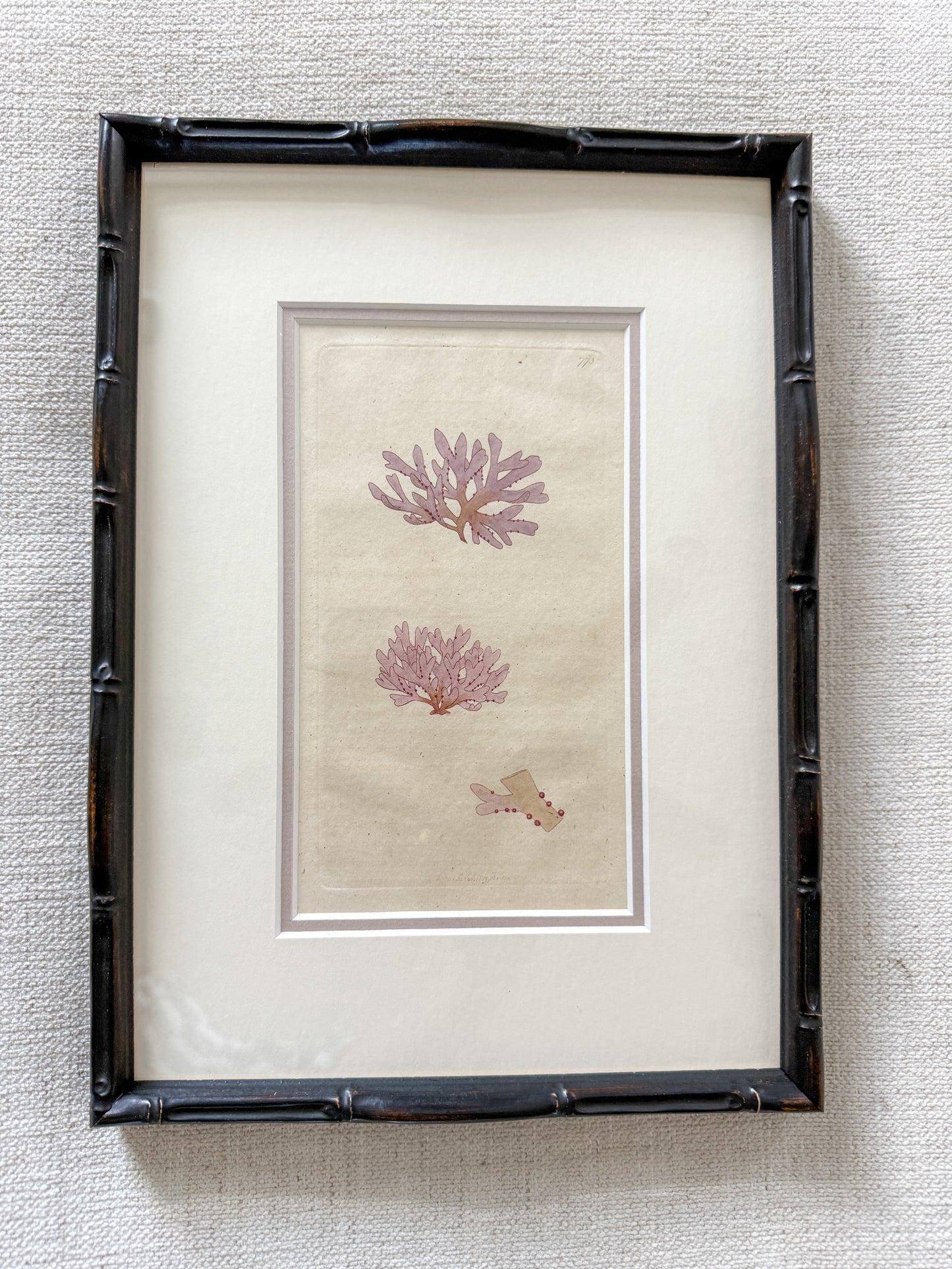 Antique Donovan coral engraving