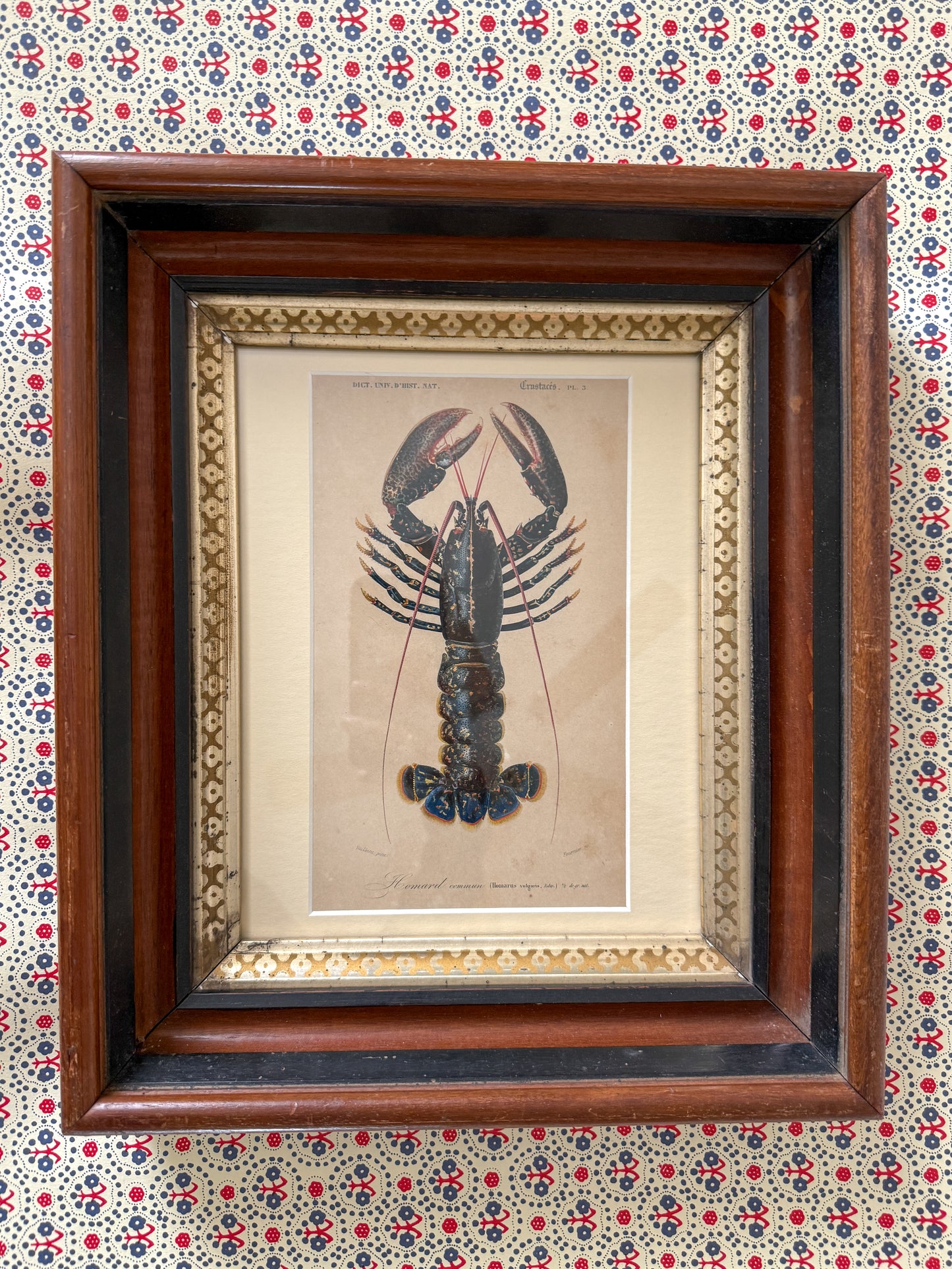 Rare Lobster engraving