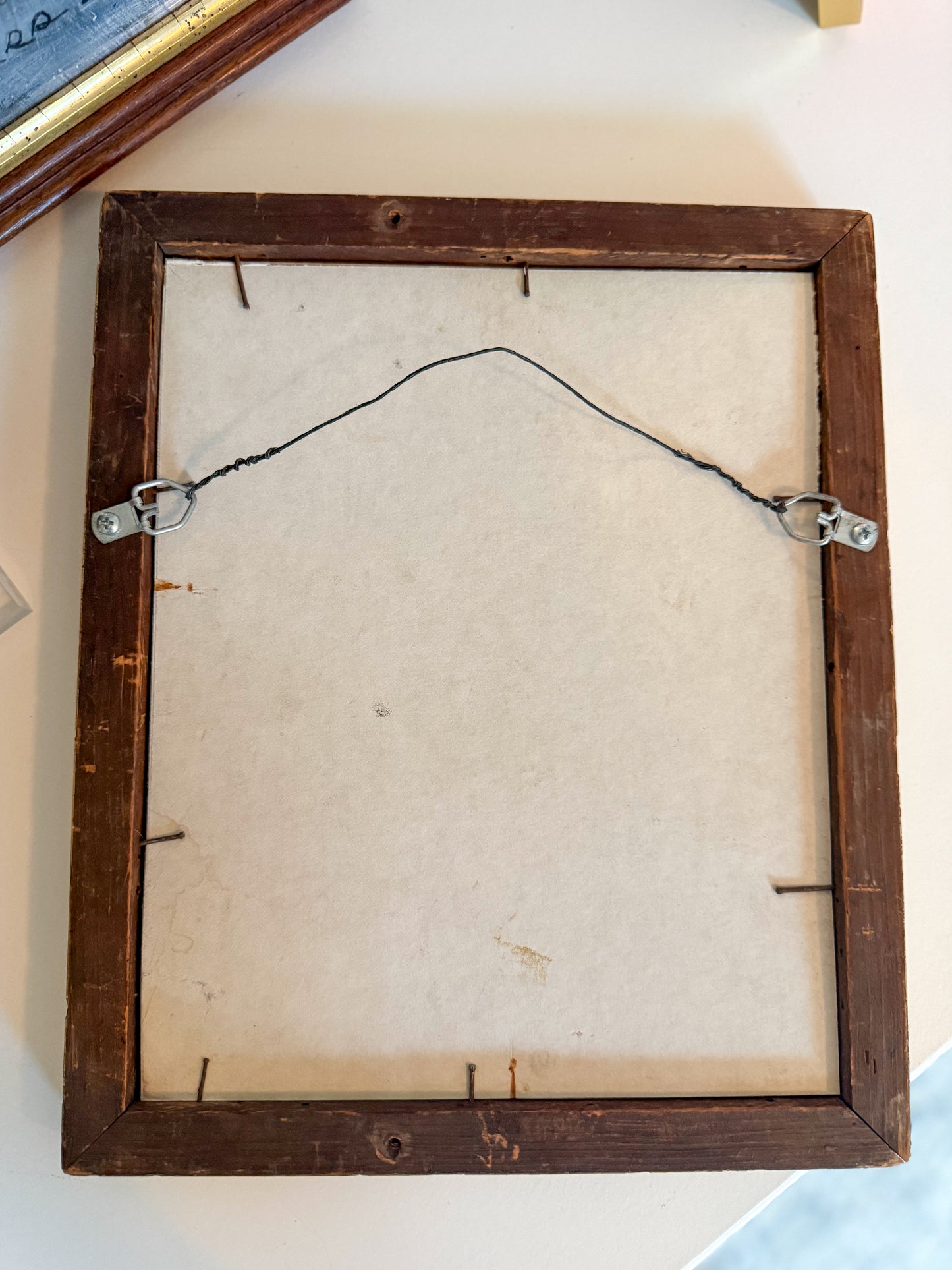 Original 19th century fish engraving