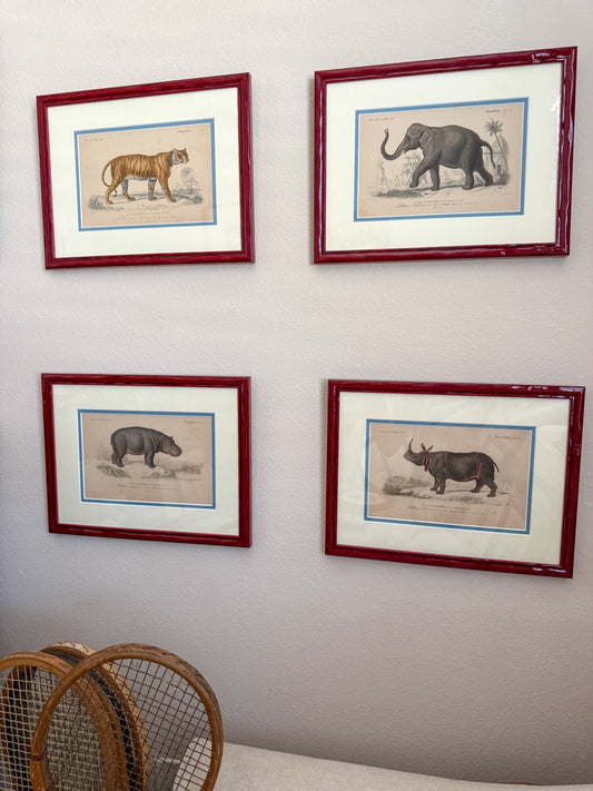 19th century animal engravings