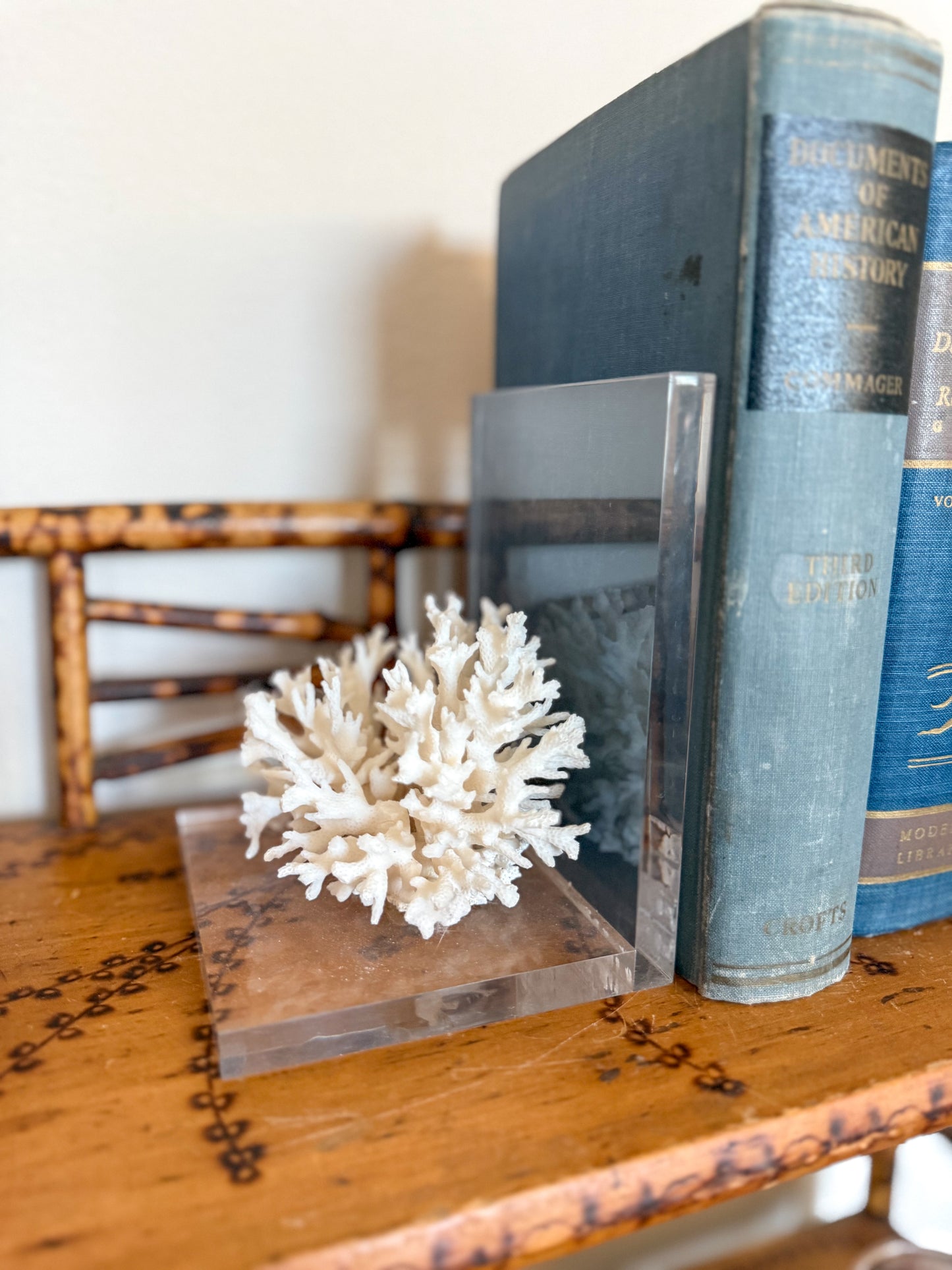 Coral bookends