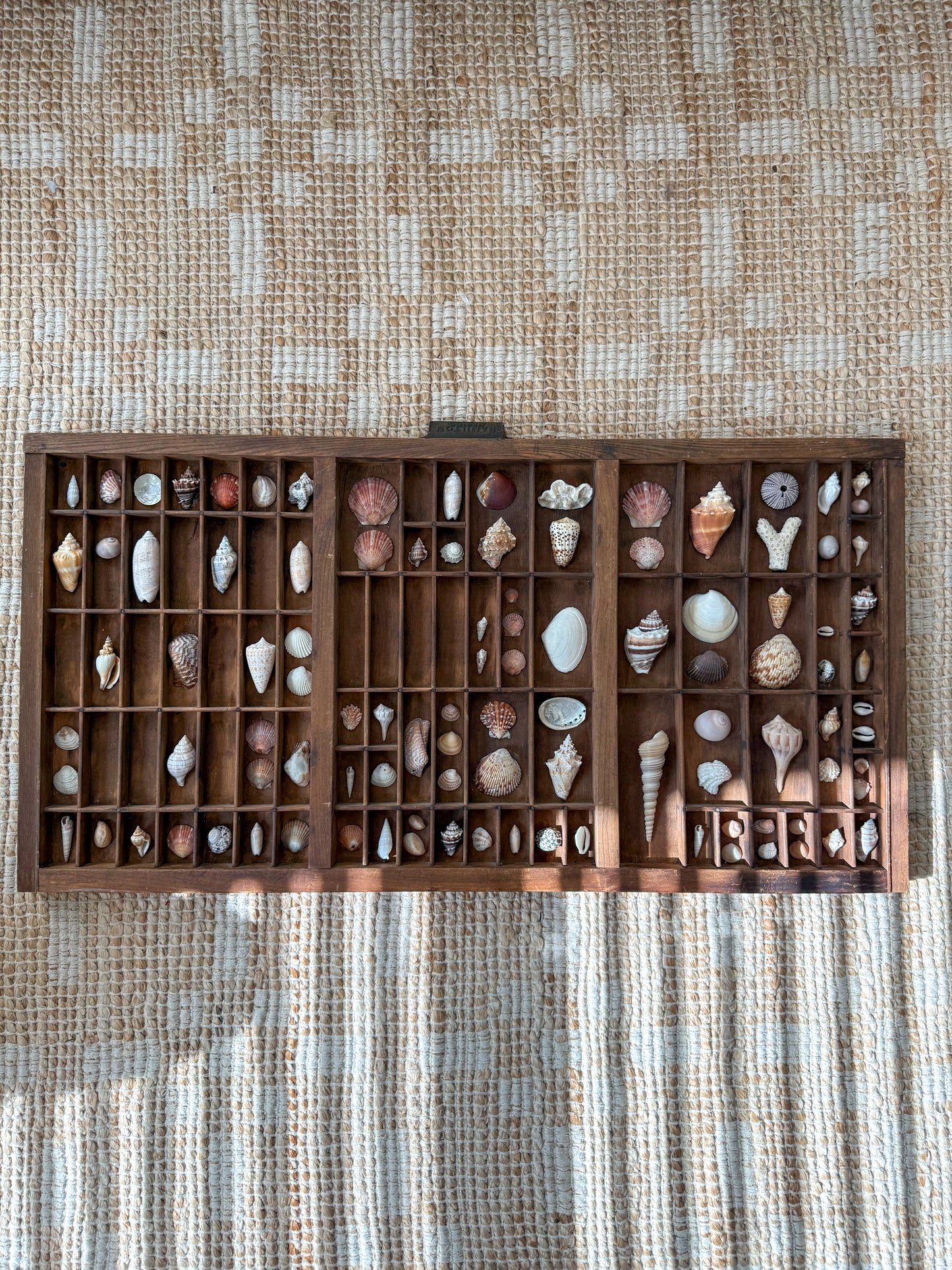 Vintage shell printer tray