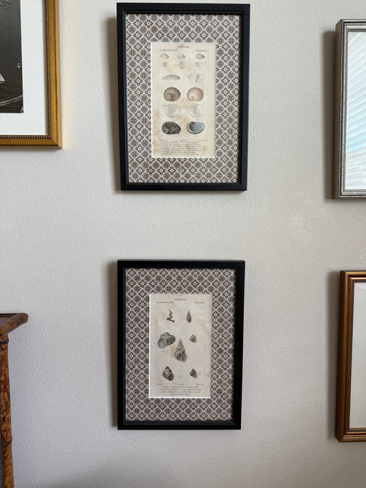 19th century shell engraving pair