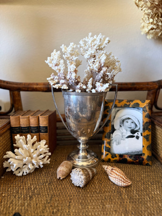 Antique trophy cup with brown stem coral