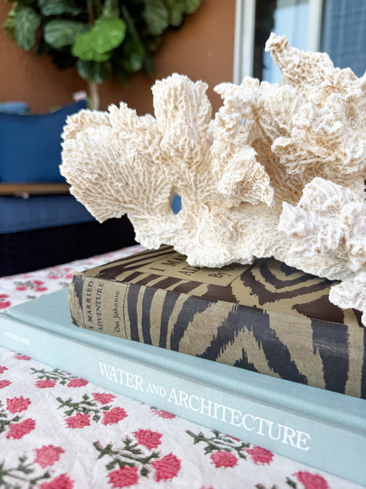 Coral cluster
