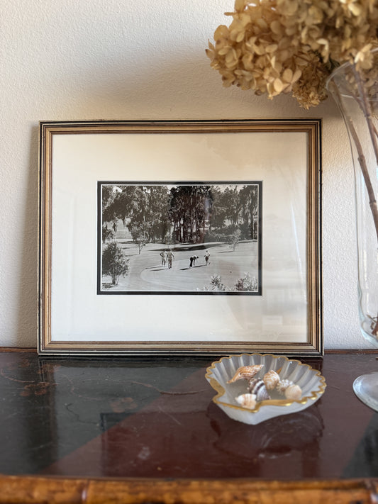 Vintage original Innisbrook photo