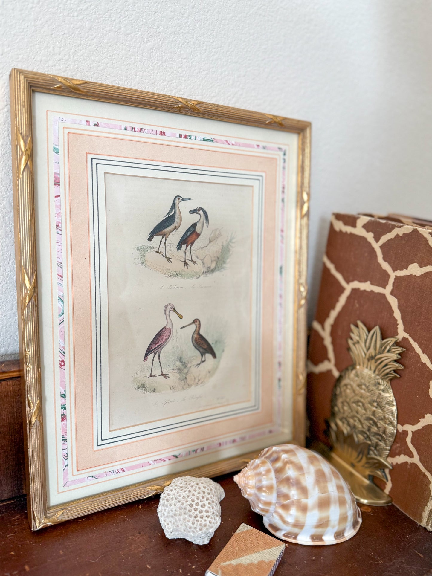 1850s hand colored ornithology engraving