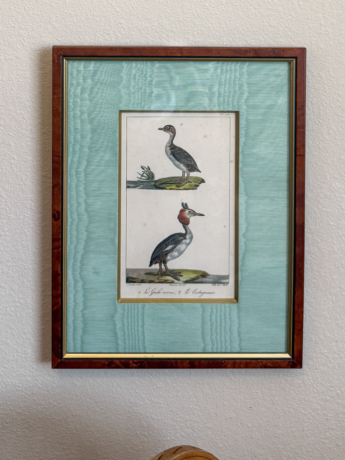 Antique bird lithographs