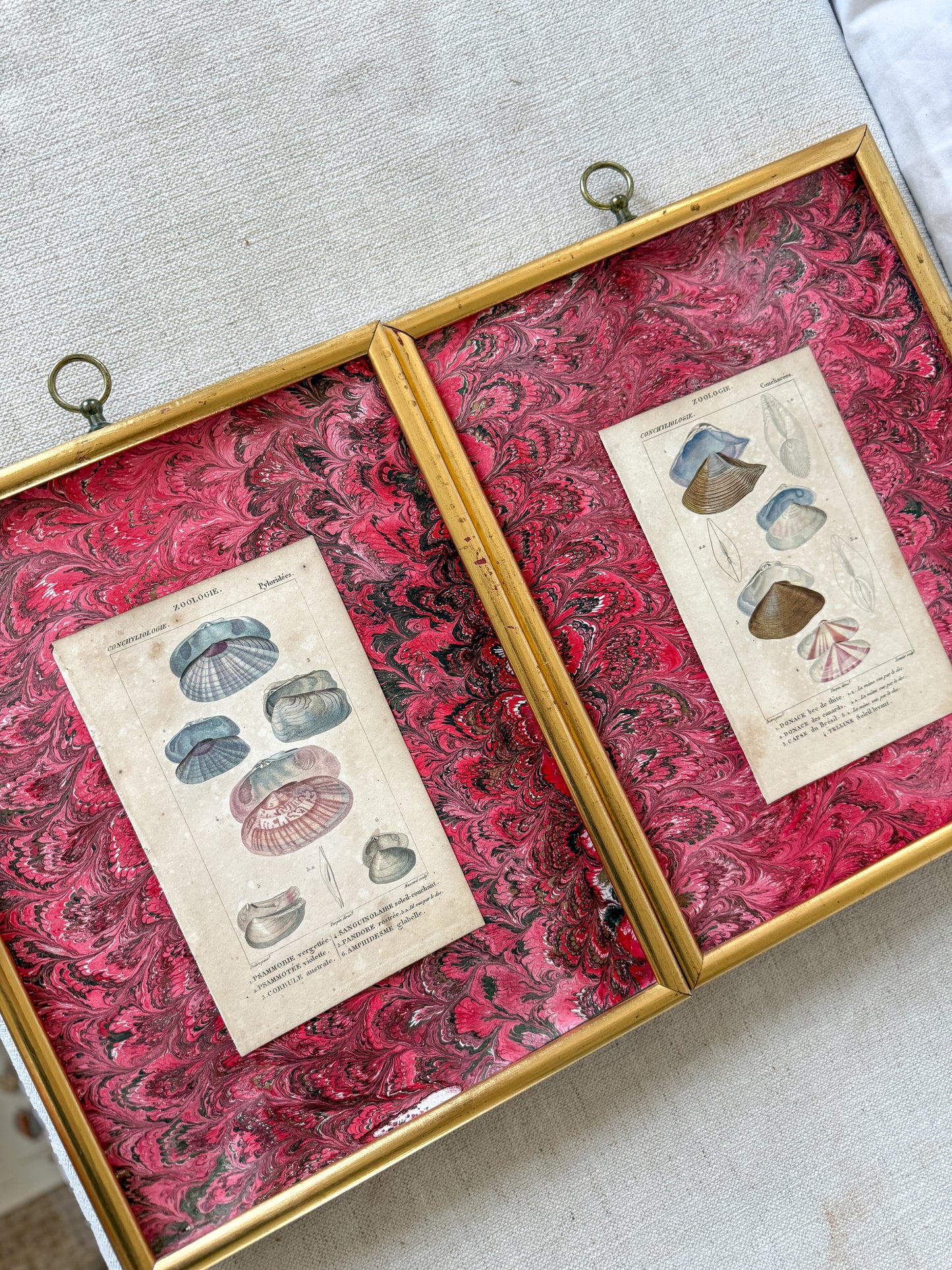 Pair of early 19th c. shell engravings