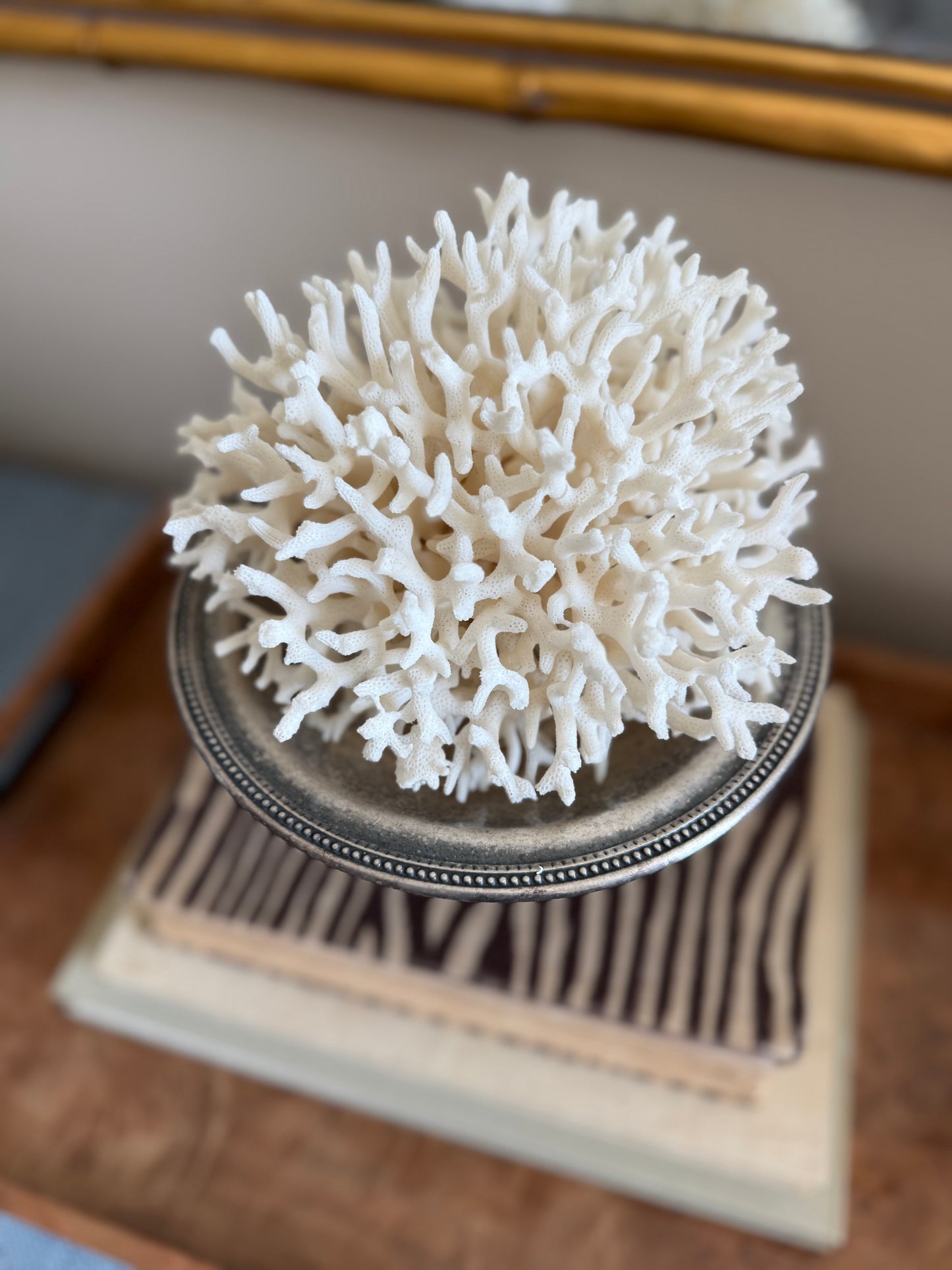 Silverplate compote & coral