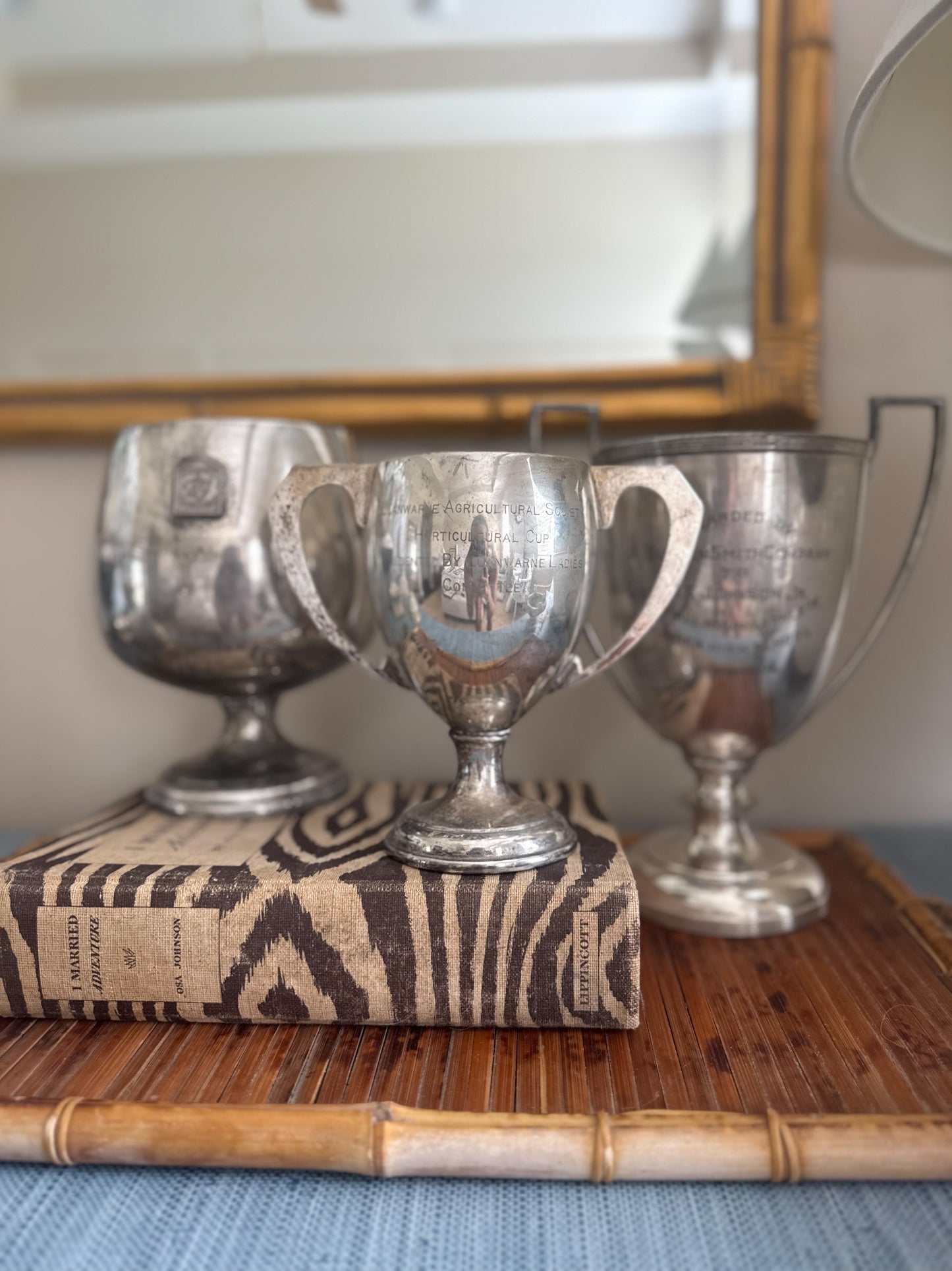 Antique trophy cup with brown stem coral