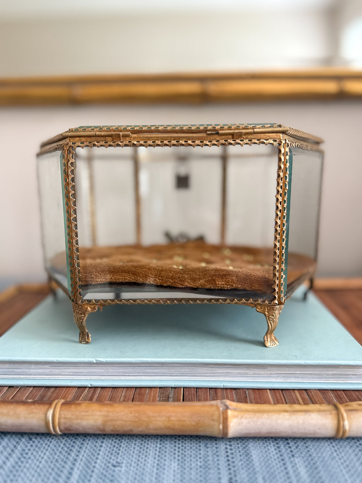 Antique French Napoleon III glass casket