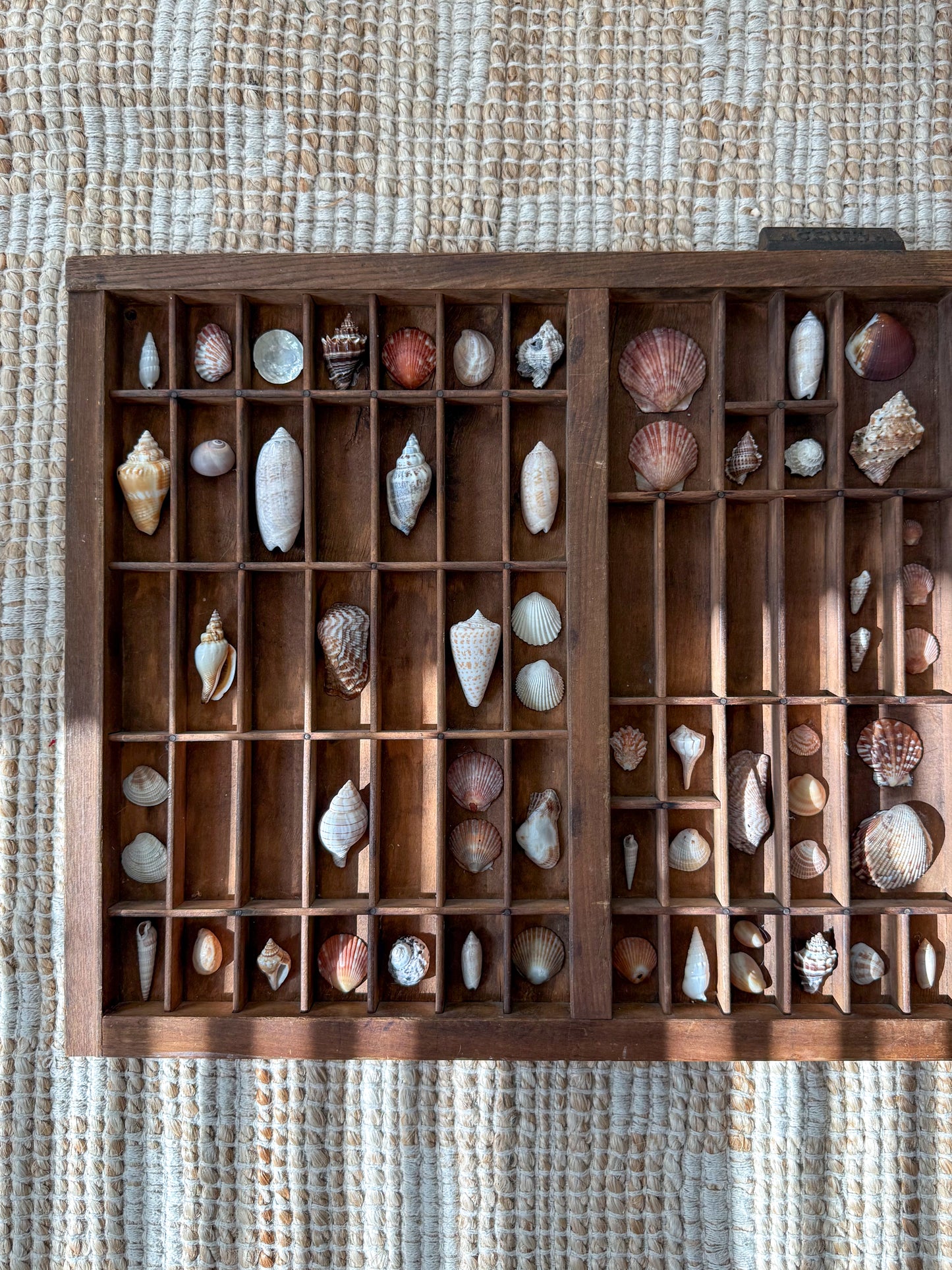 Vintage shell printer tray