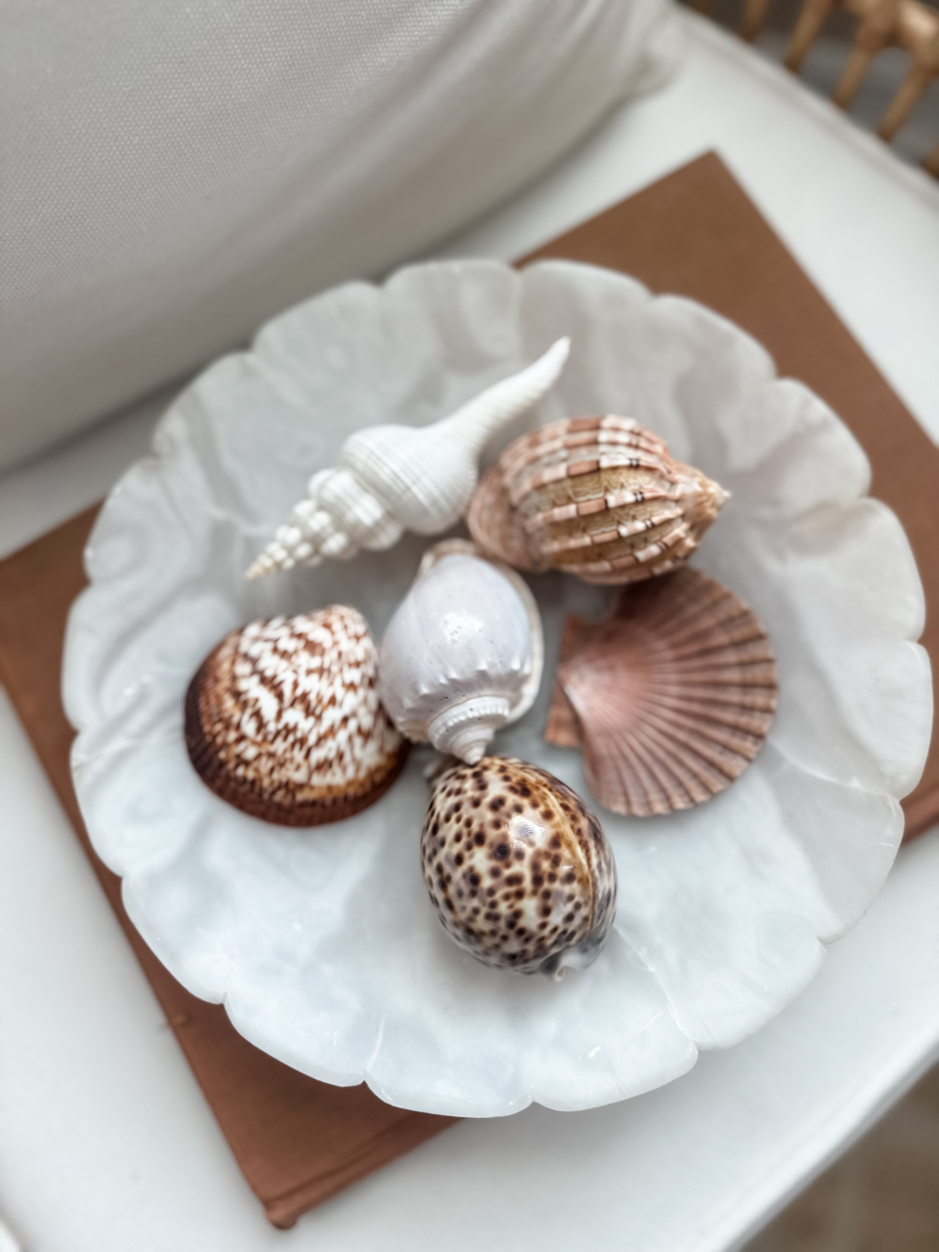 Neutral stone compote – Grand & Now