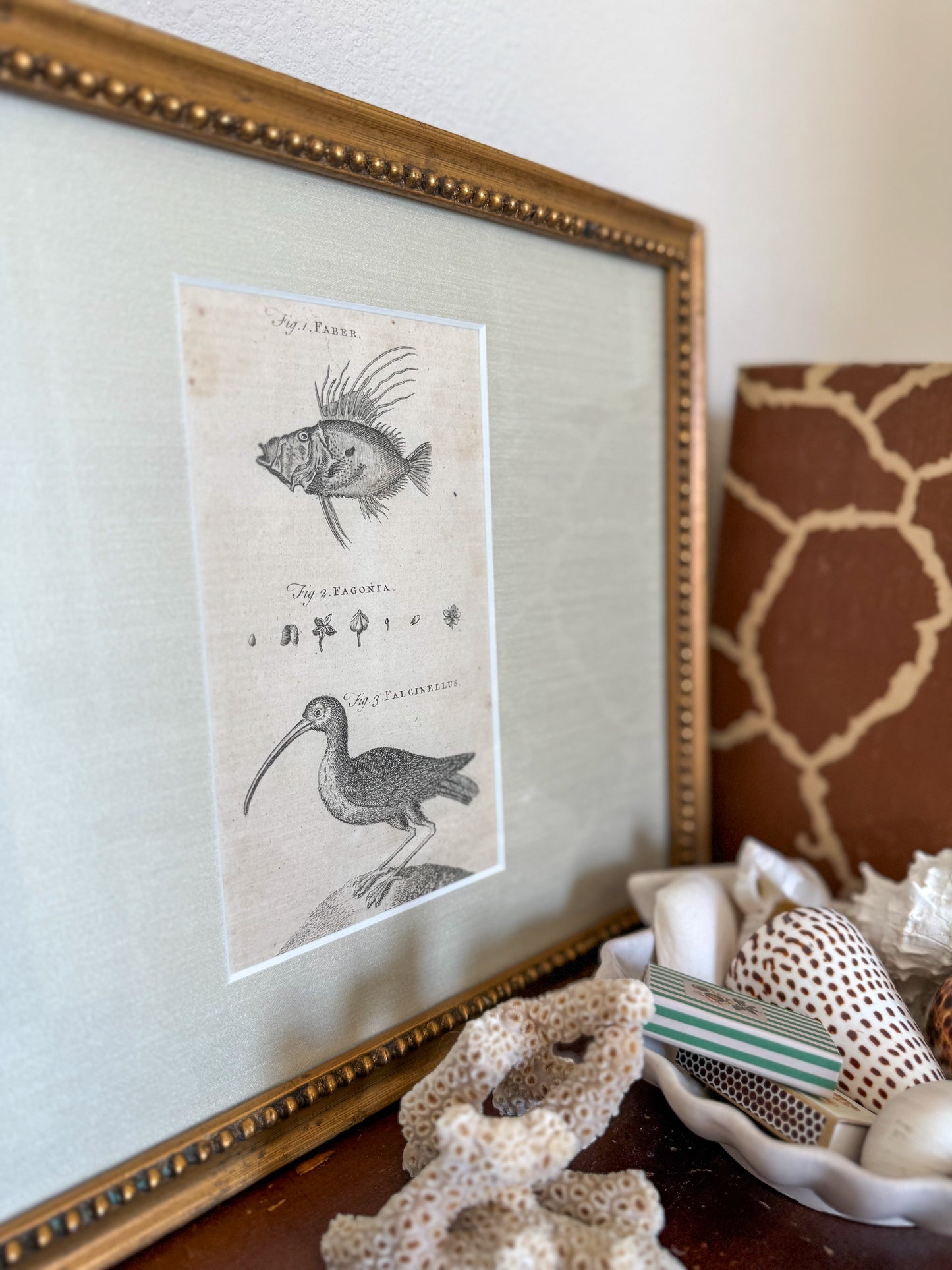 18th century Arts & Sciences copper plate engraving