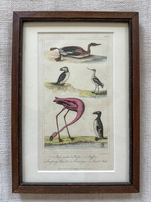 Early 19th c. engraving