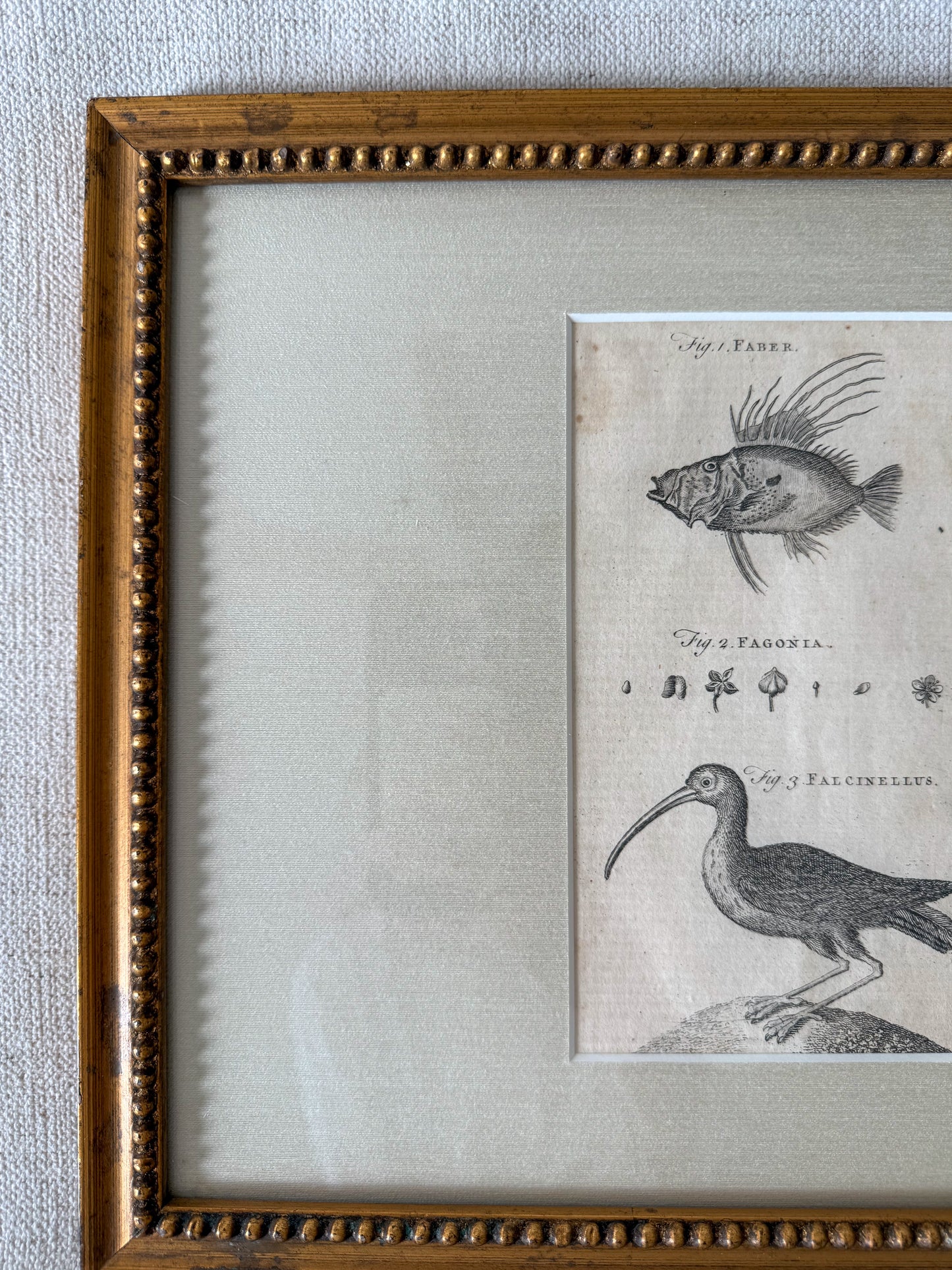 18th century Arts & Sciences copper plate engraving