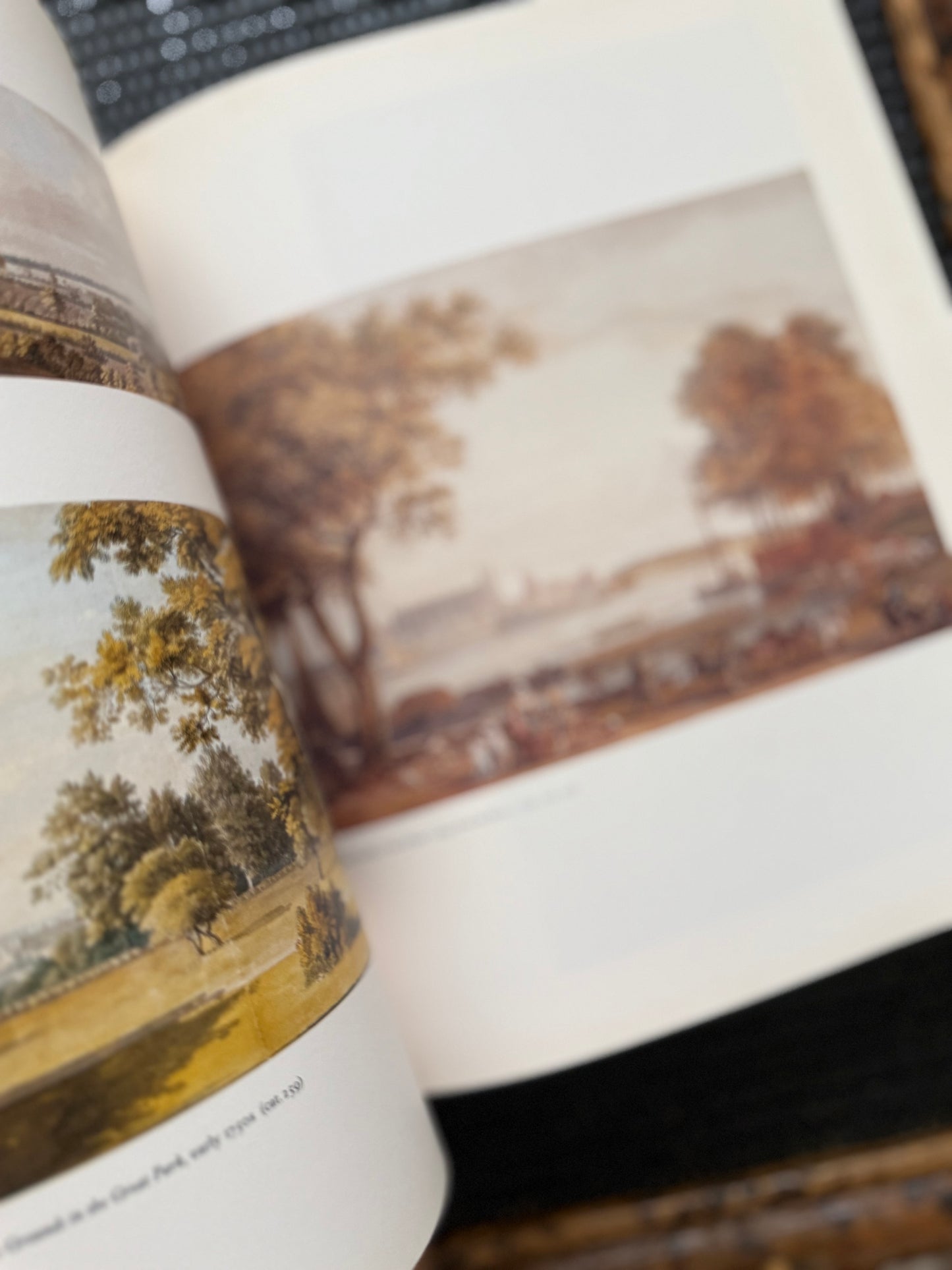 Coffee table book bundle