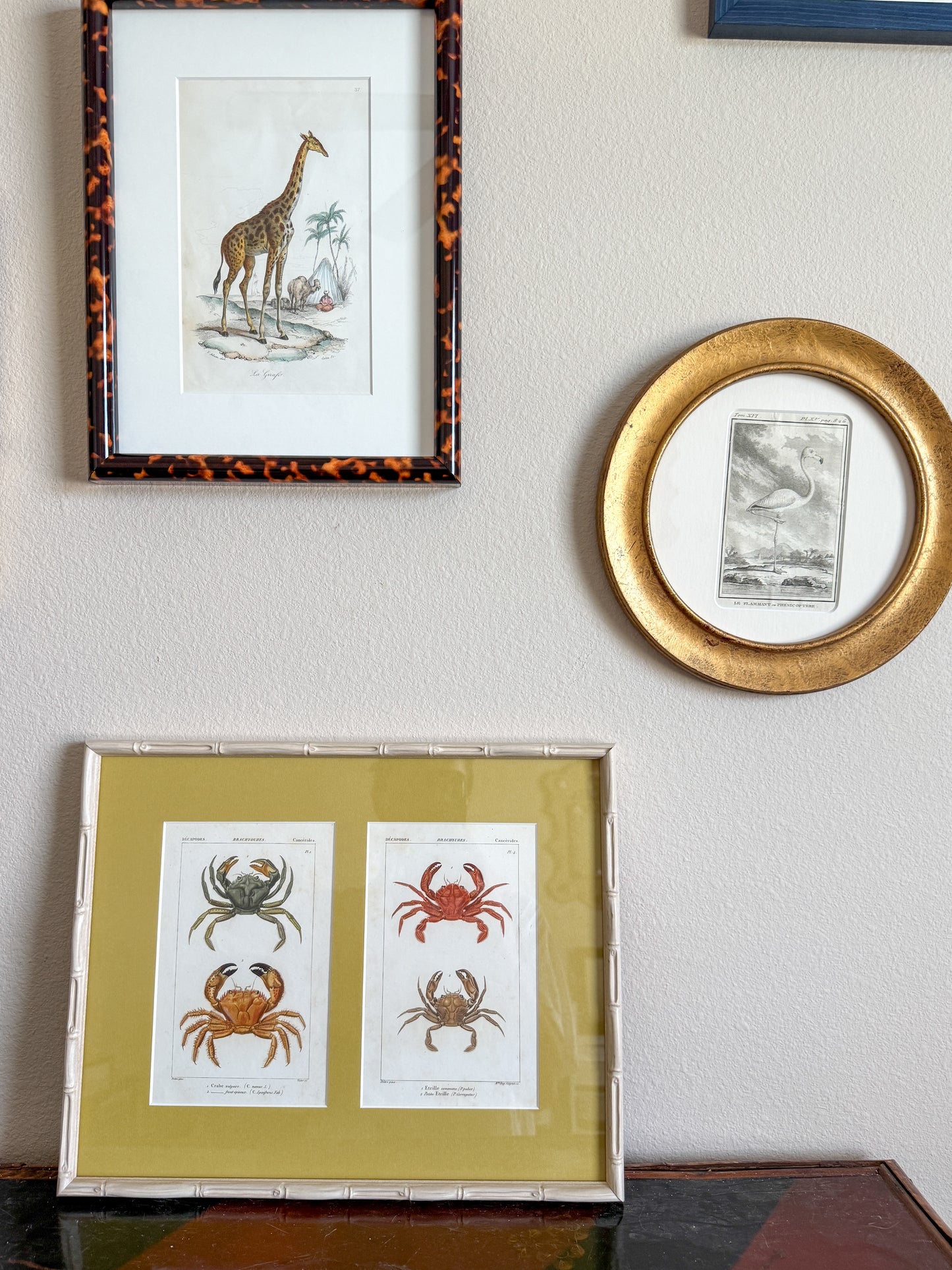 1820s antique crab engraving