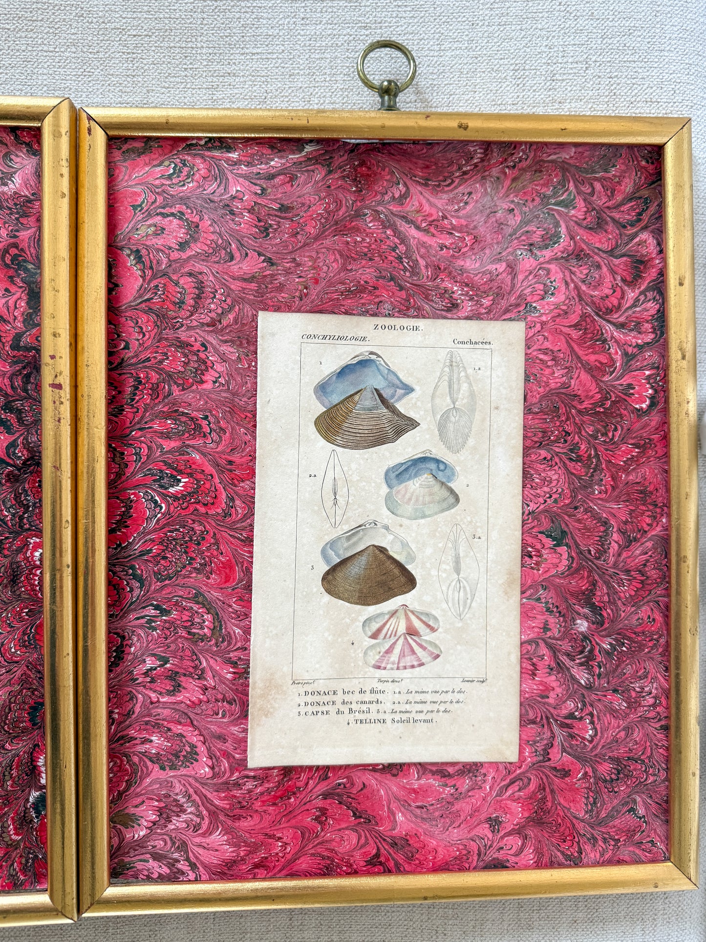 Pair of early 19th c. shell engravings