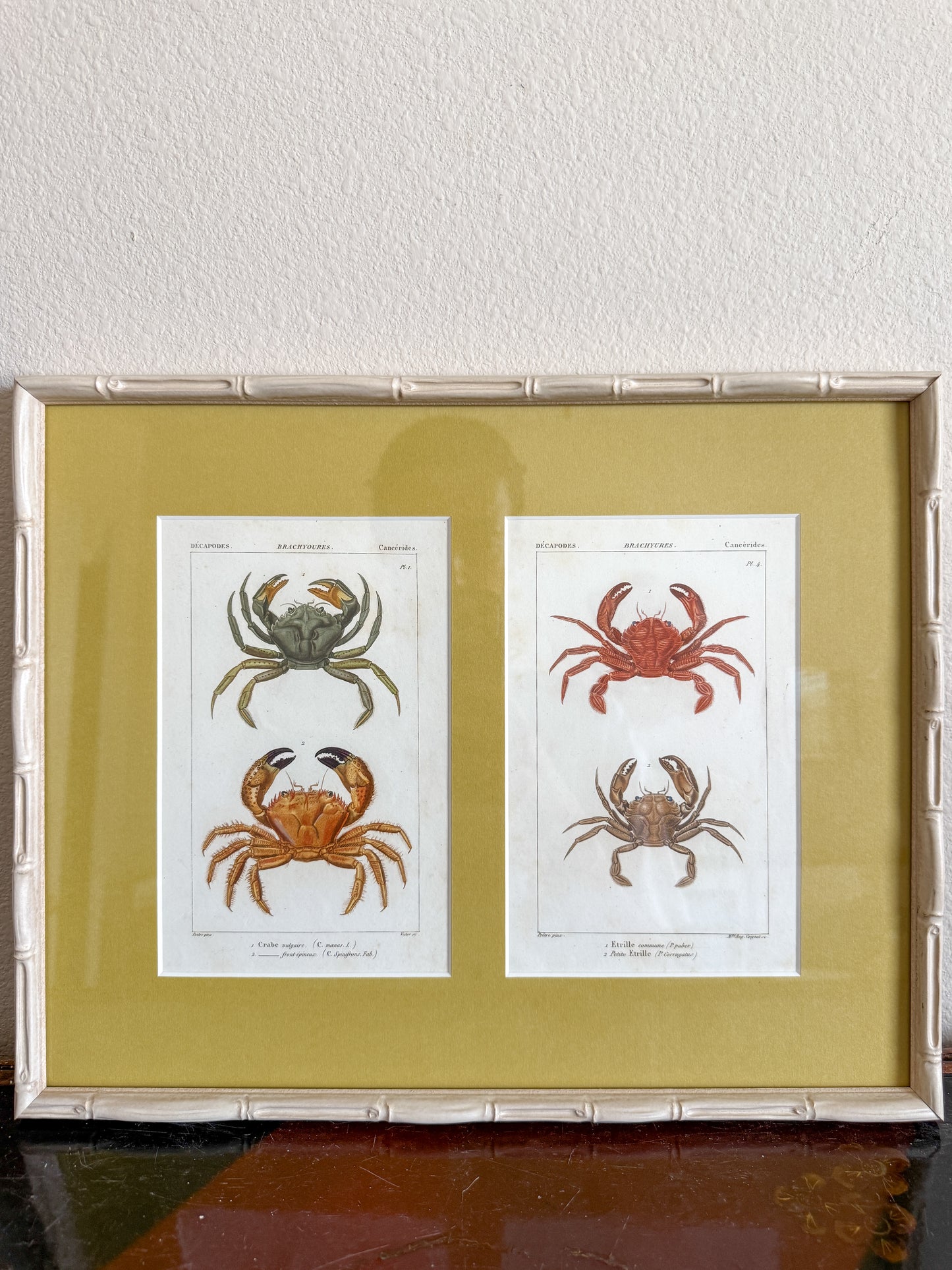 1820s antique crab engraving