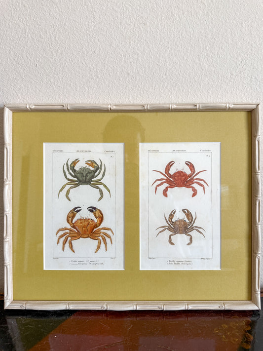 1820s antique crab engraving