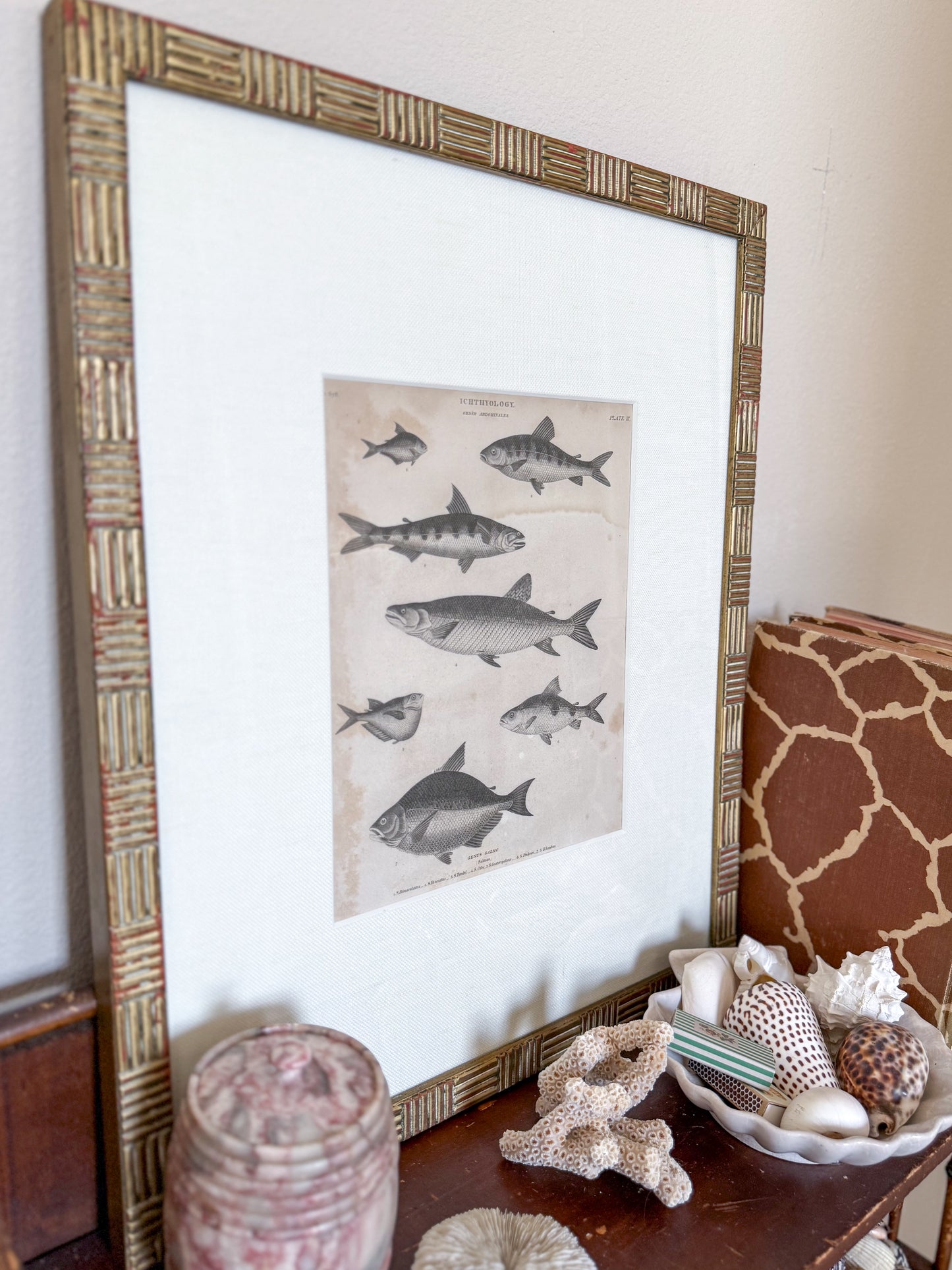 Antique fish engraving pair