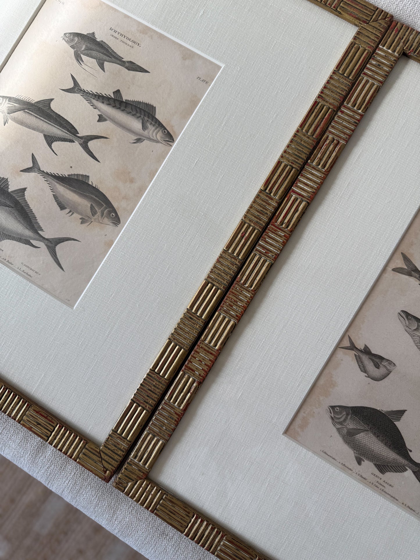 Antique fish engraving pair