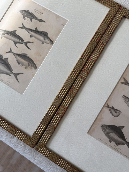 Antique fish engraving pair