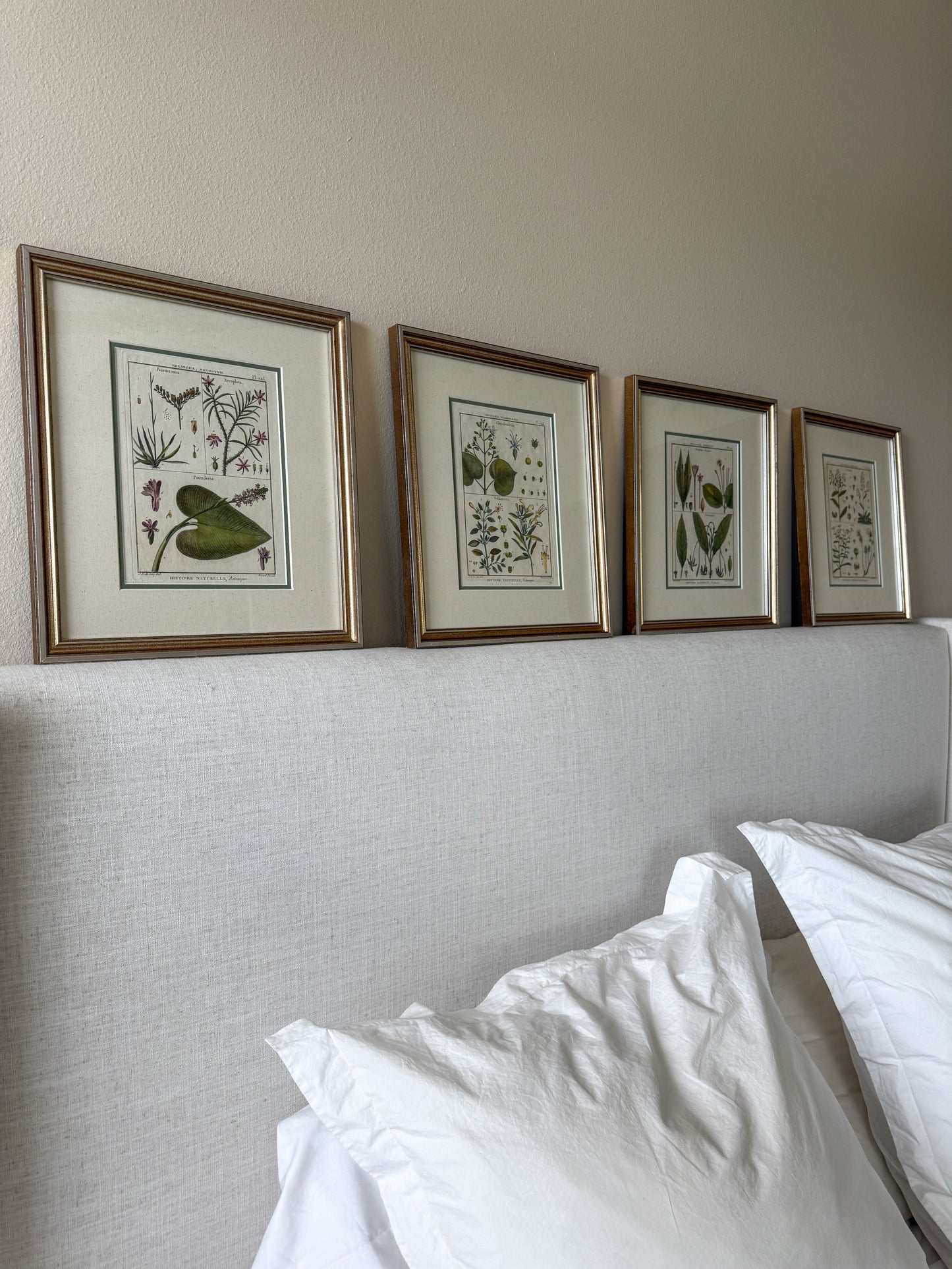 Set of 4 18th Century Botanical Hand Colored Engravings