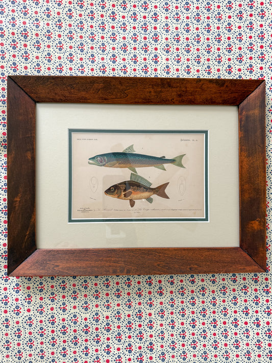 Antique fish engraving