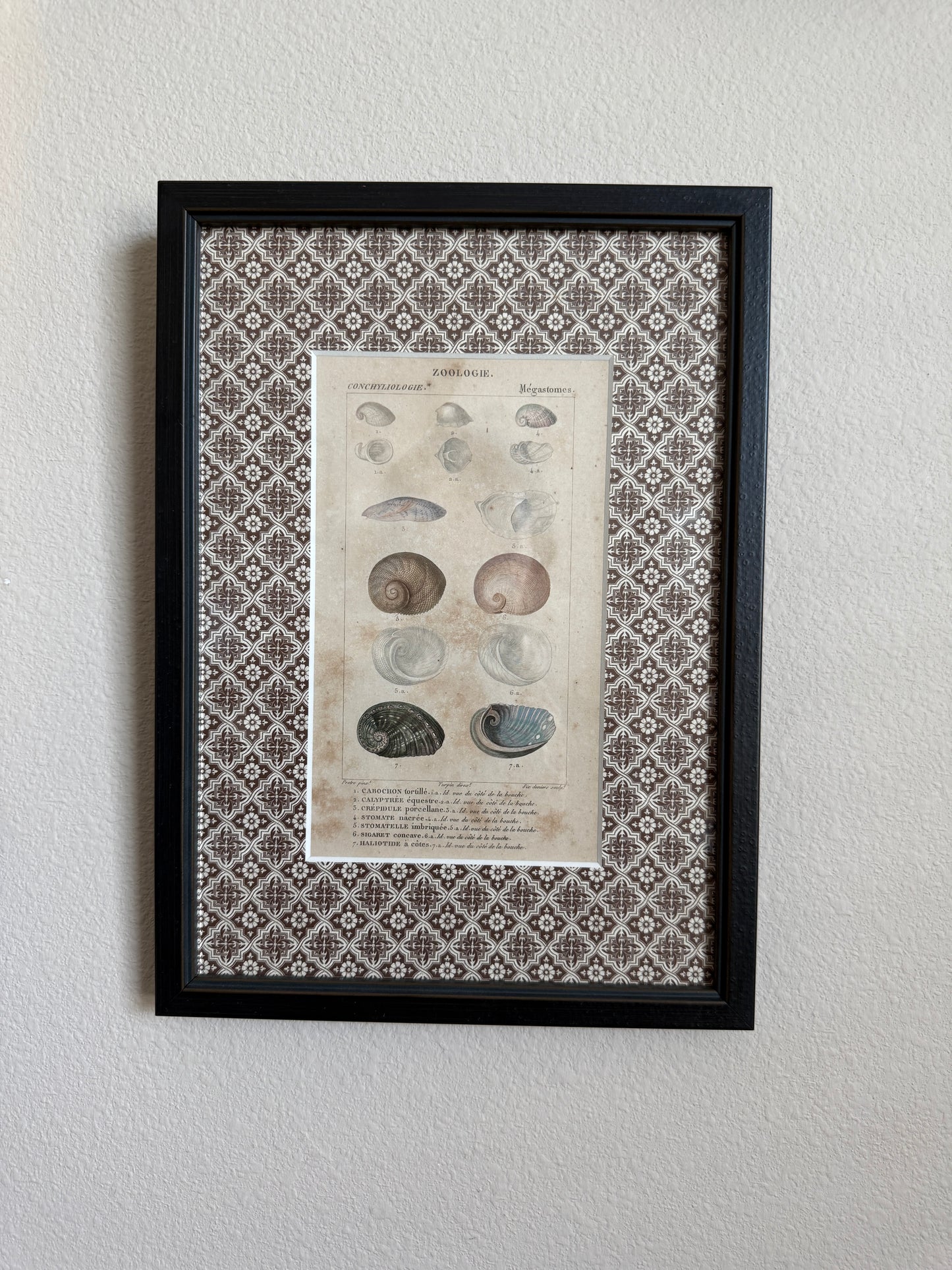 19th century shell engraving pair