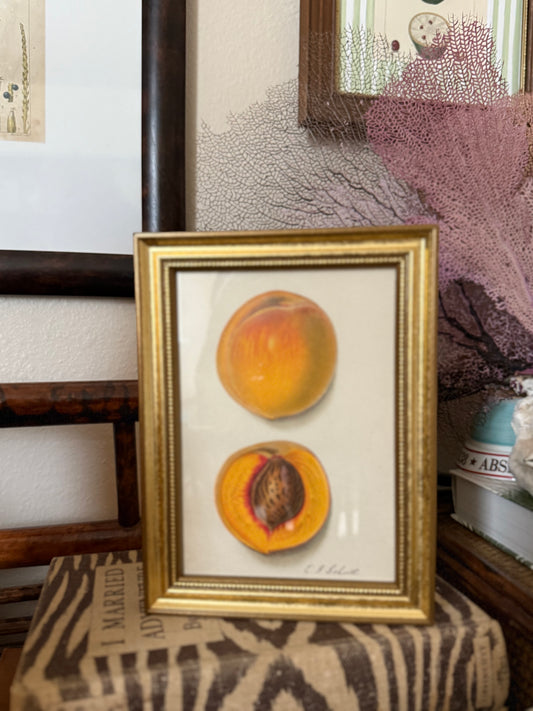 Antique peach lithograph, modern frame