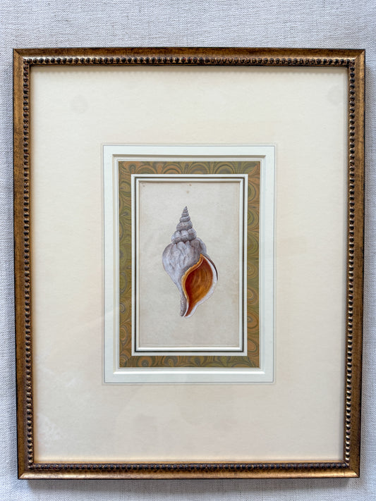 19th c. shell engraving