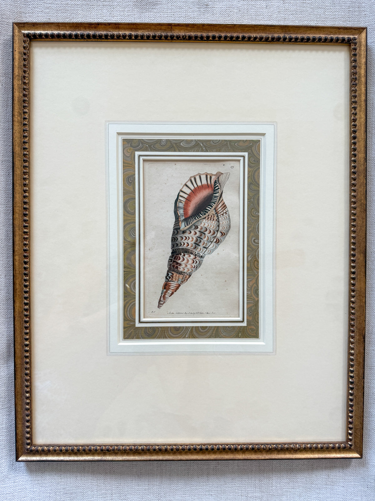 19th c. shell engraving