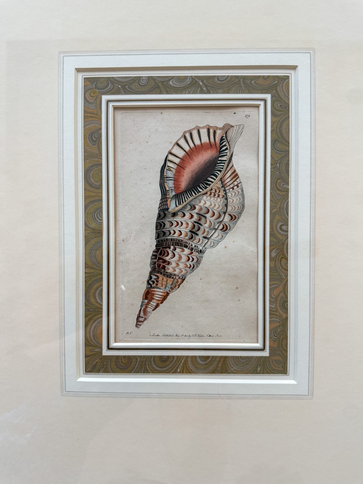 19th c. shell engraving